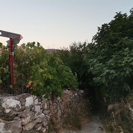 Naxos Mountain Retreat - Tiny House Build On Rock Apartman Kóronosz Kültér fotó